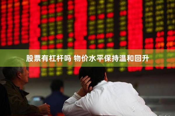 股票有杠杆吗 物价水平保持温和回升